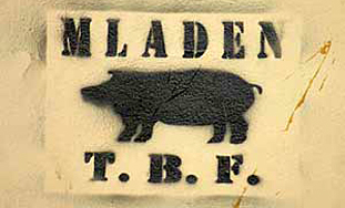 mladen3.jpg mladen3.jpg